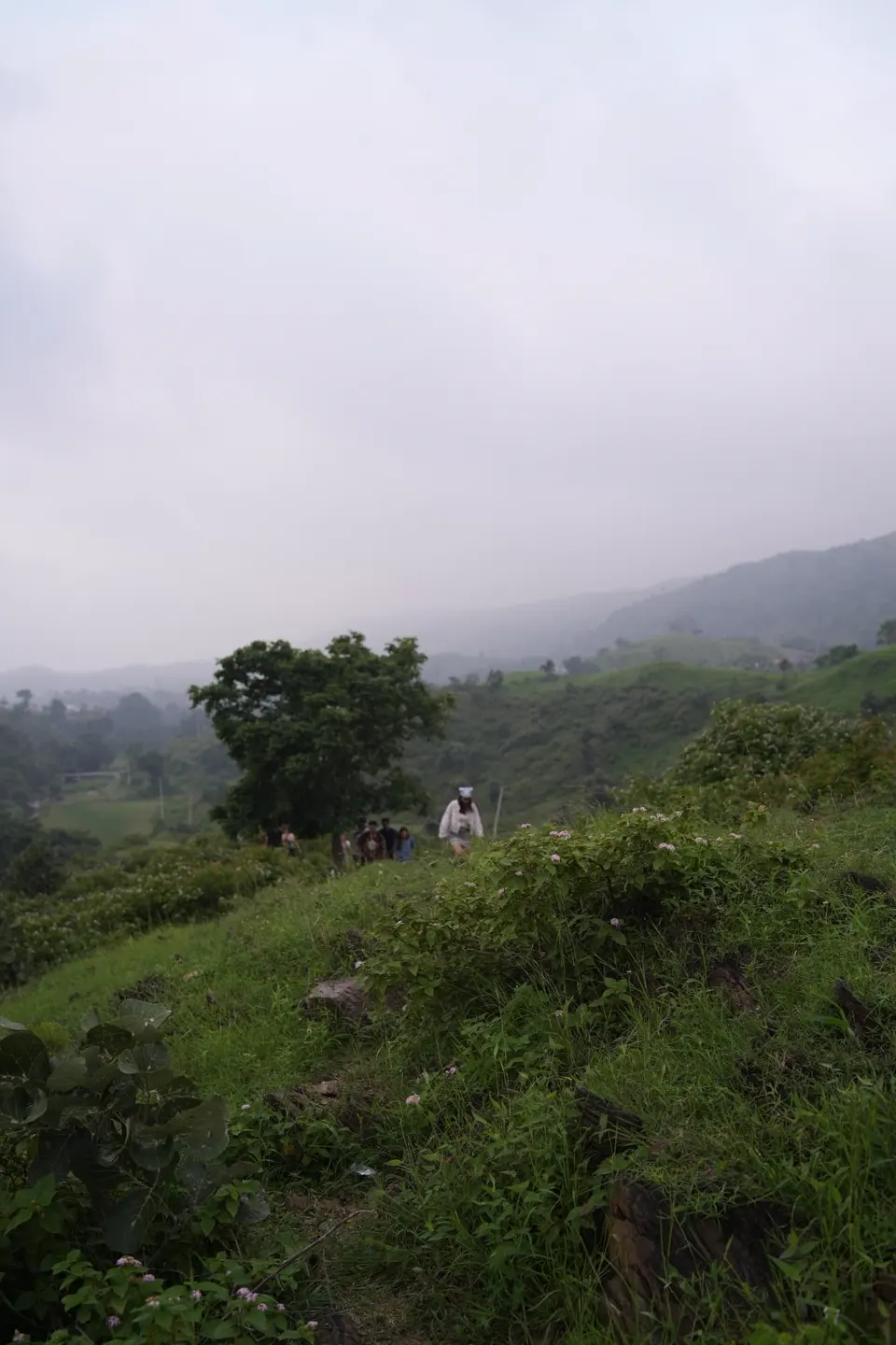 A misty hillside with the group walking far in the distance